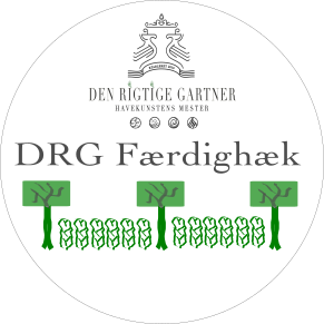 DRG Færdighæk